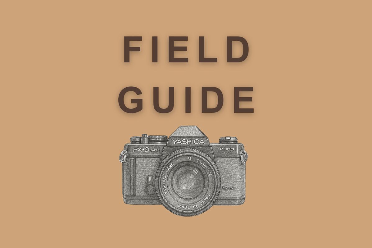 Field Guide
